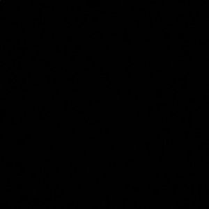 Meet your Posher, Daniela